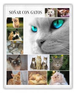 gatos y sus interpretaciones en sueños