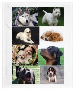 sueños con perros